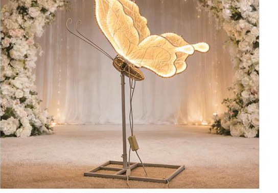 Animated Butterfly Aisle Light (1.05 m)