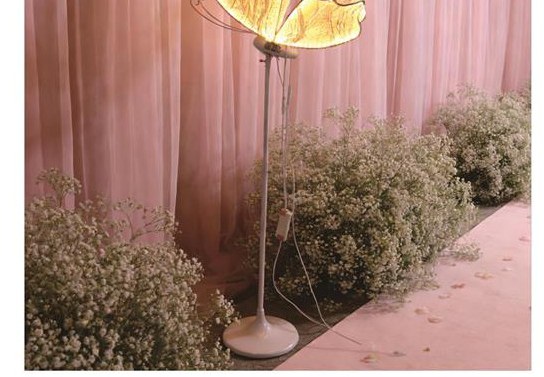 Flapping Butterfly Aisle Light (Gold Gauze)